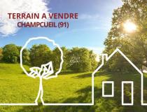 annonce vente terrain champcueil 91750