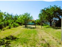 Vente terrain Chantonnay 85110 [4/7650664]