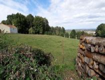 vente terrain Chantonnay - 7656051:1