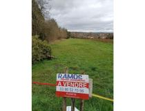 annonce vente terrain charbuy 89113