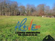 annonce vente terrain charbuy 89113