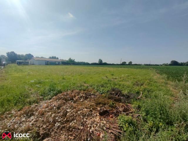 annonce vente terrain chasnais 85400