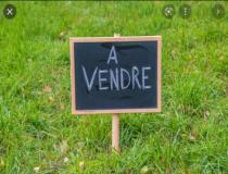 annonce vente terrain chateau renault 37110