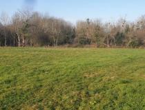 annonce vente terrain chatillon sur loire 45360