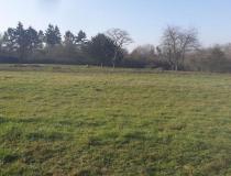 annonce vente terrain chatillon sur loire 45360