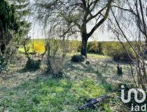 annonce vente terrain chatonnay 38440