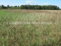 annonce vente terrain chaumont sur tharonne 41600