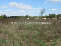 annonce vente terrain chaumont sur tharonne 41600