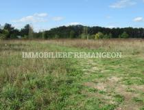 annonce vente terrain chaumont sur tharonne 41600