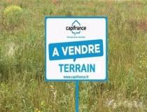 annonce vente terrain cheu 89600