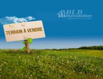 annonce vente terrain chevreuse 78460