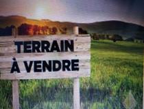 annonce vente terrain cissac medoc 33250