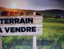 annonce vente terrain cissac medoc 33250