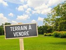 annonce vente terrain cleder 29233