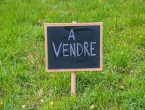 annonce vente terrain cluny 71250