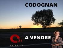 annonce vente terrain codognan 30920