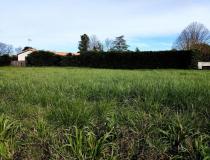 Immobilier terrain Commequiers 85220 [4/7651709]