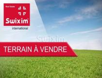 annonce vente terrain contamine sur arve 74130