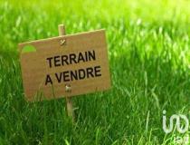 annonce vente terrain courtisols 51460