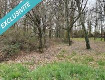 annonce vente terrain creuzier le vieux 03300