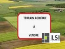 annonce vente terrain cussac sur loire 43370