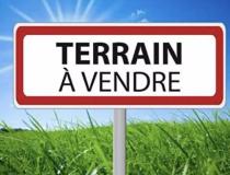 annonce vente terrain dadonville 45300