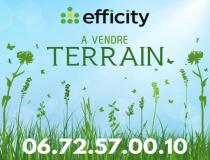 annonce vente terrain dampmart 77400