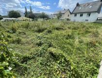 annonce vente terrain derval 44590