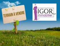 annonce vente terrain derval 44590