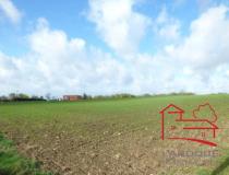 annonce vente terrain dondas 47470