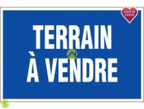 annonce vente terrain doyet 03170