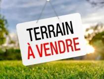 annonce vente terrain draveil 91210