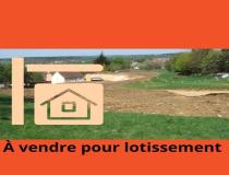 annonce vente terrain duneau 72160