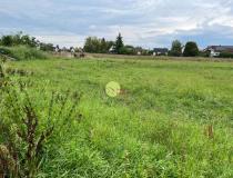 annonce vente terrain eschau 67114