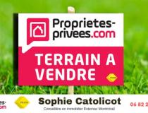 annonce vente terrain esternay 51310