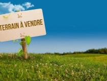 annonce vente terrain faa a 98704