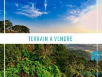 annonce vente terrain faa a 98704