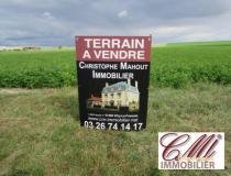 annonce vente terrain favresse 51300