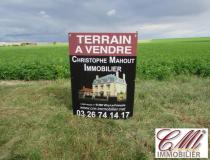 annonce vente terrain favresse 51300