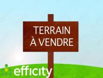 annonce vente terrain ferrieres 17170