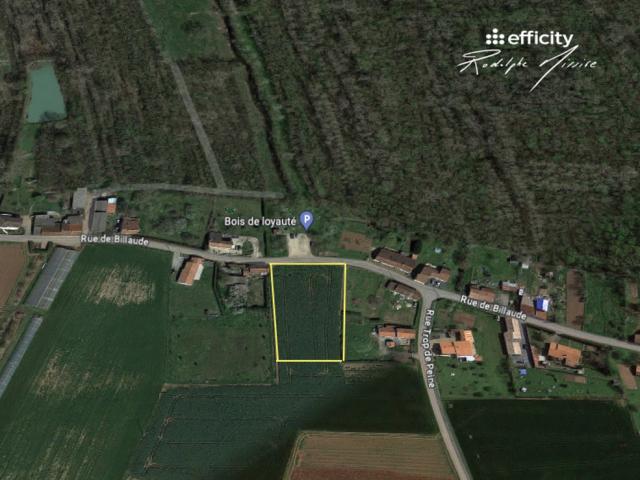 annonce vente terrain fontaines 85200