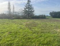 Immobilier terrain Fontenay Le Comte 85200 [4/7654140]