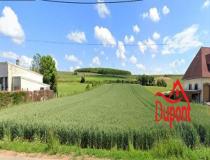 annonce vente terrain frencq 62630