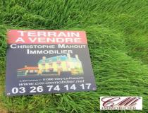 annonce vente terrain frignicourt 51300