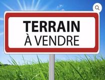 annonce vente terrain fronton 31620