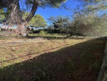 annonce vente terrain gallargues le montueux 30660