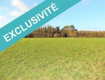 annonce vente terrain gemozac 17260