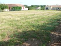 annonce vente terrain gencay 86160