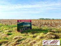 annonce vente terrain glannes 51300