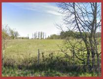 annonce vente terrain grignols 33690